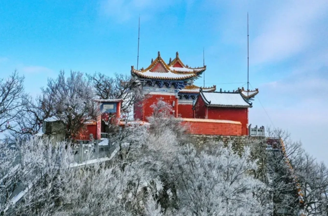 河南文旅局